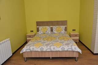 Отели типа «постель и завтрак» Sheki Panorama Guest House Шеки Стандартный двухместный номер с 1 кроватью-4